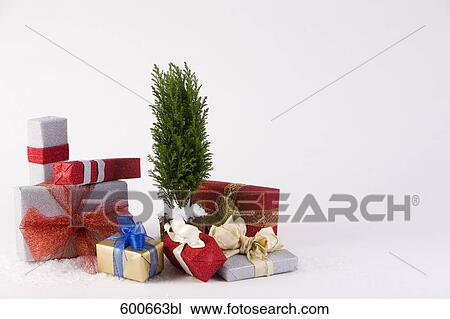 still life of christmas presents around small tree View Large Photo Image Stock Image - still life of christmas presents around small tree. Fotosearch
