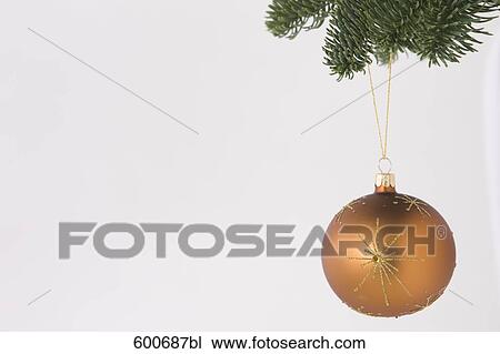 still life of golden bauble hanging on christmas tree View Large Photo Image Stock Image - still life of golden bauble hanging on christmas tree. Fotosearch