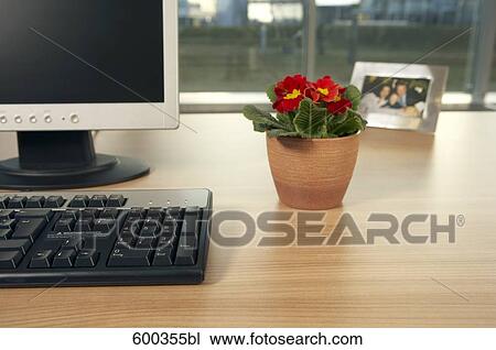 still life of potted plant on desk near computer View Large Photo Image Stock Image - still life of potted plant on desk near computer. Fotosearch