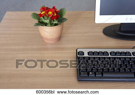 still life of potted plant on desk near computer View Large Photo Image Stock Image - still life of potted plant on desk near computer. Fotosearch