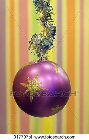 still life of purple bauble hanging on garland View Large Photo Image Stock Image - still life of purple bauble hanging on garland. Fotosearch