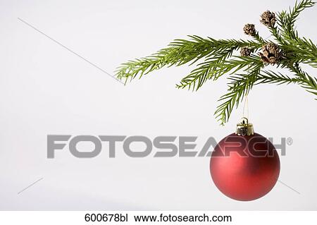 Stock Image - still life of red bauble hanging on christmas tree. Fotosearch