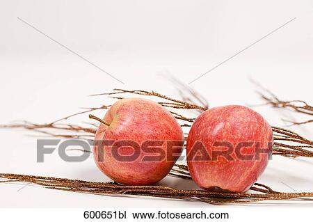 still life of two red apples and twigs View Large Photo Image Stock Image - still life of two red apples and twigs. Fotosearch