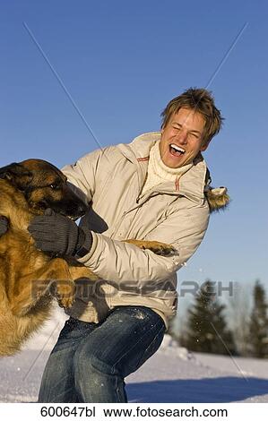 young man playing with german shepherd dog View Large Photo Image Stock Image - young man playing with german shepherd dog. Fotosearch