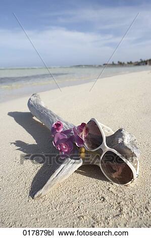 Stock Image - branch with purple orchids and sunglasses on sandy beach. Fotosearch