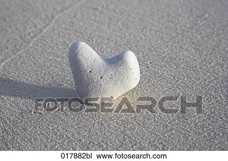 close-up of pebble in shape of heart on sandy beach View Large Photo Image Stock Image - close-up of pebble in shape of heart on sandy beach. Fotosearch