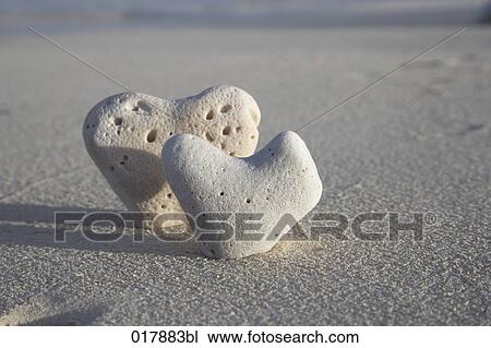 close-up of two pebbles in shape of heart on sandy beach View Large Photo Image Stock Image - close-up of two pebbles in shape of heart on sandy beach. Fotosearch