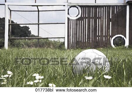 football in grass in front of practice goal View Large Photo Image Stock Image - football in grass in front of practice goal. Fotosearch