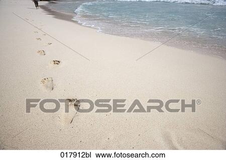 footsteps on sandy beach View Large Photo Image Stock Image - footsteps on sandy beach. Fotosearch