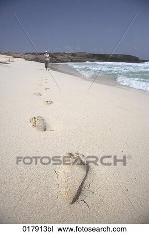 footsteps on sandy beach View Large Photo Image Stock Image - footsteps on sandy beach. Fotosearch