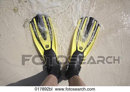 high angle view of man standing on beach wearing fins View Large Photo Image Stock Image - high angle view of man standing on beach wearing fins. Fotosearch