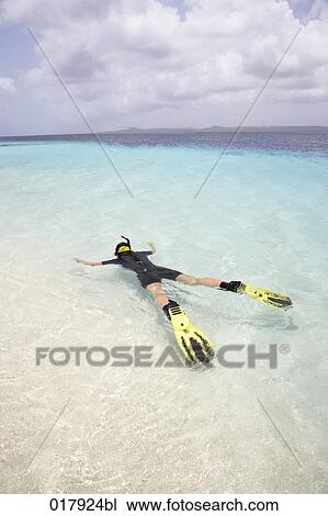 man snorkeling in tropical ocean View Large Photo Image Stock Image - man snorkeling in tropical ocean. Fotosearch