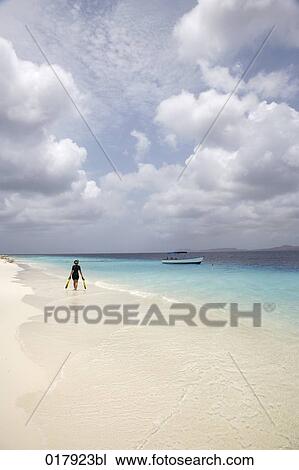 man with snorkeling equipment walking along tropical beach View Large Photo Image Stock Image - man with snorkeling equipment walking along tropical beach. Fotosearch
