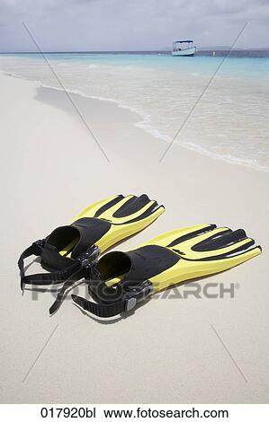 pair of fins on sandy beach View Large Photo Image Stock Image - pair of fins on sandy beach. Fotosearch