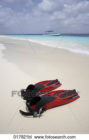 pair of fins on sandy beach View Large Photo Image Stock Image - pair of fins on sandy beach. Fotosearch