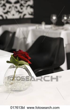 red rose in vase on restaurant table View Large Photo Image Stock Image - red rose in vase on restaurant table. Fotosearch