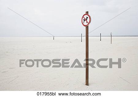 sign keeping dogs from walking on the beach View Large Photo Image Stock Image - sign keeping dogs from walking on the beach. Fotosearch