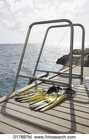still life of diving goggles and fins on pier View Large Photo Image Stock Image - still life of diving goggles and fins on pier. Fotosearch