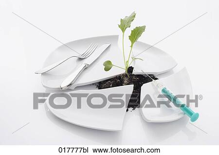 still life of kohlrabi seedling breaking through plate View Large Photo Image Stock Image - still life of kohlrabi seedling breaking through plate. Fotosearch