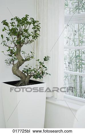 view into office View Large Photo Image Stock Image - view into office. Fotosearch