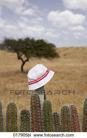 white hat on pole View Large Photo Image Stock Image - white hat on pole. Fotosearch
