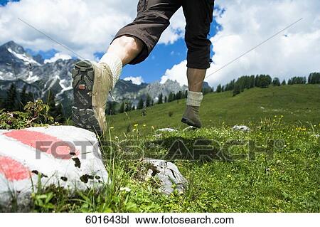 detail of mature man hiking in the mountains View Large Photo Image Stock Image - detail of mature man hiking in the mountains. Fotosearch