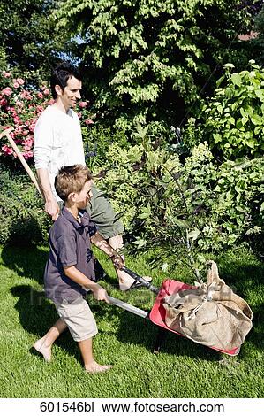 Stock Image - father and son planting tree in garden. Fotosearch