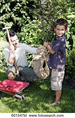 father and son planting tree in garden View Large Photo Image Stock Image - father and son planting tree in garden. Fotosearch