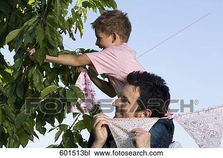father carrying his son to decorate tree for garden party View Large Photo Image Stock Image - father carrying his son to decorate tree for garden party. Fotosearch