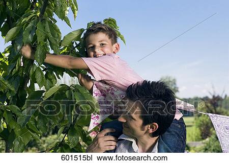 father carrying his son to decorate tree for garden party View Large Photo Image Stock Image - father carrying his son to decorate tree for garden party. Fotosearch