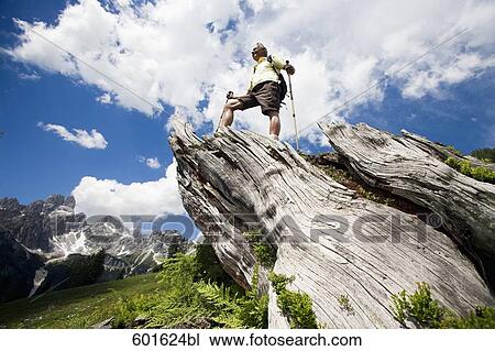 low angle view of mature man standing on log in the mountains View Large Photo Image Stock Image - low angle view of mature man standing on log in the mountains. Fotosearch