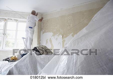 man redecorating walls in empty flat View Large Photo Image Stock Image - man redecorating walls in empty flat. Fotosearch