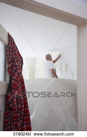 man redecorating walls in empty flat View Large Photo Image Stock Image - man redecorating walls in empty flat. Fotosearch