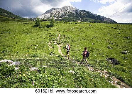 mature couple doing nordic walking in the mountains View Large Photo Image Stock Image - mature couple doing nordic walking in the mountains. Fotosearch