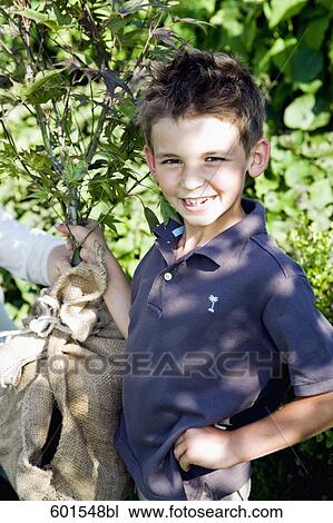 portrait of little boy holding tree seedling View Large Photo Image Stock Image - portrait of little boy holding tree seedling. Fotosearch