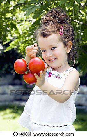 portrait of little girl holding tomatoes View Large Photo Image Stock Image - portrait of little girl holding tomatoes. Fotosearch