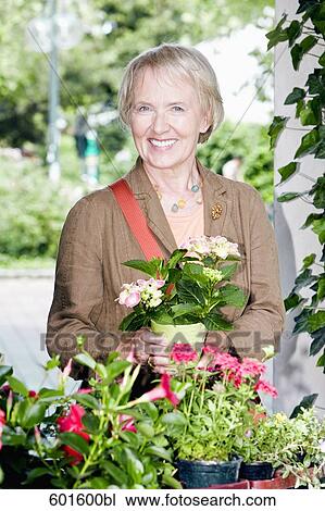 portrait of senior woman buying flowers View Large Photo Image Stock Image - portrait of senior woman buying flowers. Fotosearch