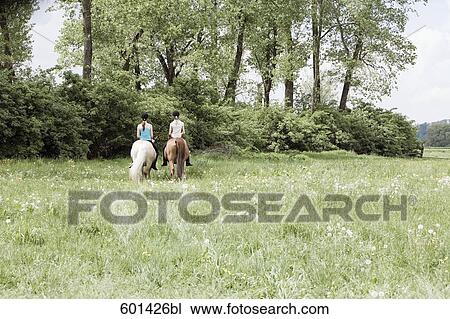 rear view of two girls doing horseback riding View Large Photo Image Stock Image - rear view of two girls doing horseback riding. Fotosearch