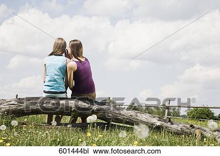 rear view of two girls sitting on tree trunk whispering to each other View Large Photo Image Stock Image - rear view of two girls sitting on tree trunk whispering to each other. Fotosearch