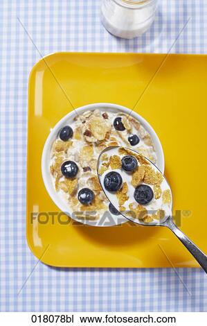 still life of cereals with blueberries in bowl View Large Photo Image Stock Image - still life of cereals with blueberries in bowl. Fotosearch