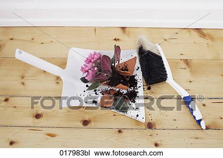 still life of dustpan and brush with broken flowerpot View Large Photo Image Stock Image - still life of dustpan and brush with broken flowerpot. Fotosearch