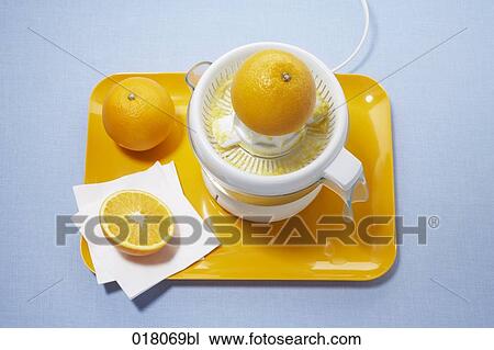 still life of oranges and squeezer View Large Photo Image Stock Image - still life of oranges and squeezer. Fotosearch