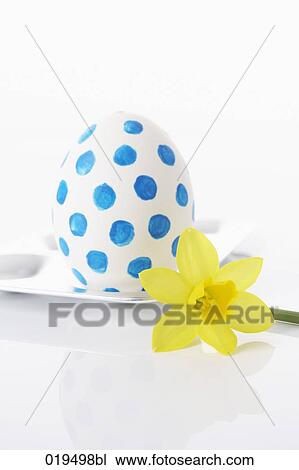 still life of painted easter egg and daffodil View Large Photo Image Stock Image - still life of painted easter egg and daffodil. Fotosearch