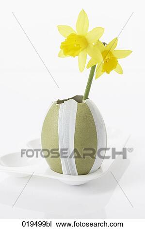Stock Image - still life of painted easter eggs and daffodils. Fotosearch