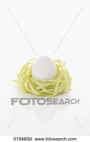 still life of white egg in paper nest View Large Photo Image Stock Image - still life of white egg in paper nest. Fotosearch