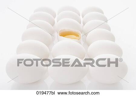 still life of white eggs with one open View Large Photo Image Stock Image - still life of white eggs with one open. Fotosearch