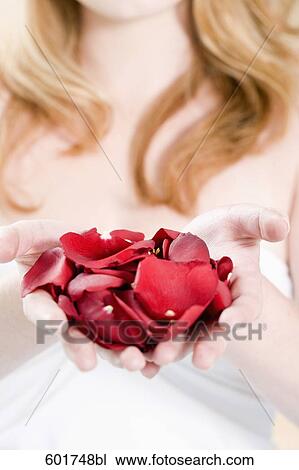 young woman holding red petals in her hands View Large Photo Image Stock Image - young woman holding red petals in her hands. Fotosearch