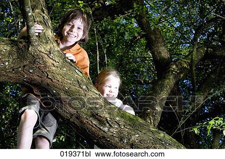 portrait of young boy and sister in tree View Large Photo Image Stock Image - portrait of young boy and sister in tree. Fotosearch