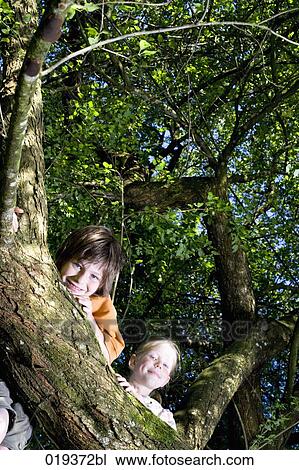 portrait of young boy and sister in tree View Large Photo Image Stock Image - portrait of young boy and sister in tree. Fotosearch