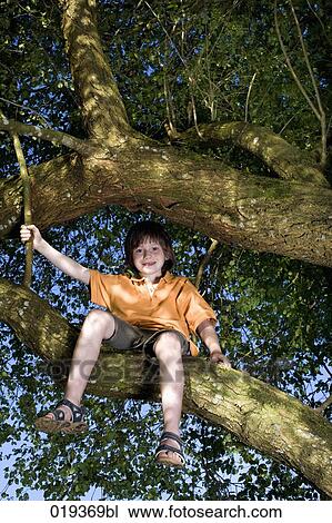 portrait of young boy sitting in tree View Large Photo Image Stock Image - portrait of young boy sitting in tree. Fotosearch